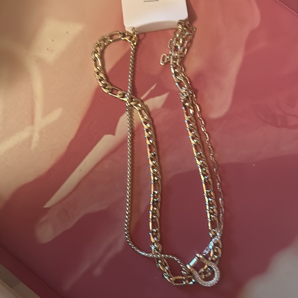 New in Pkg! Layered Horseshoe Necklace